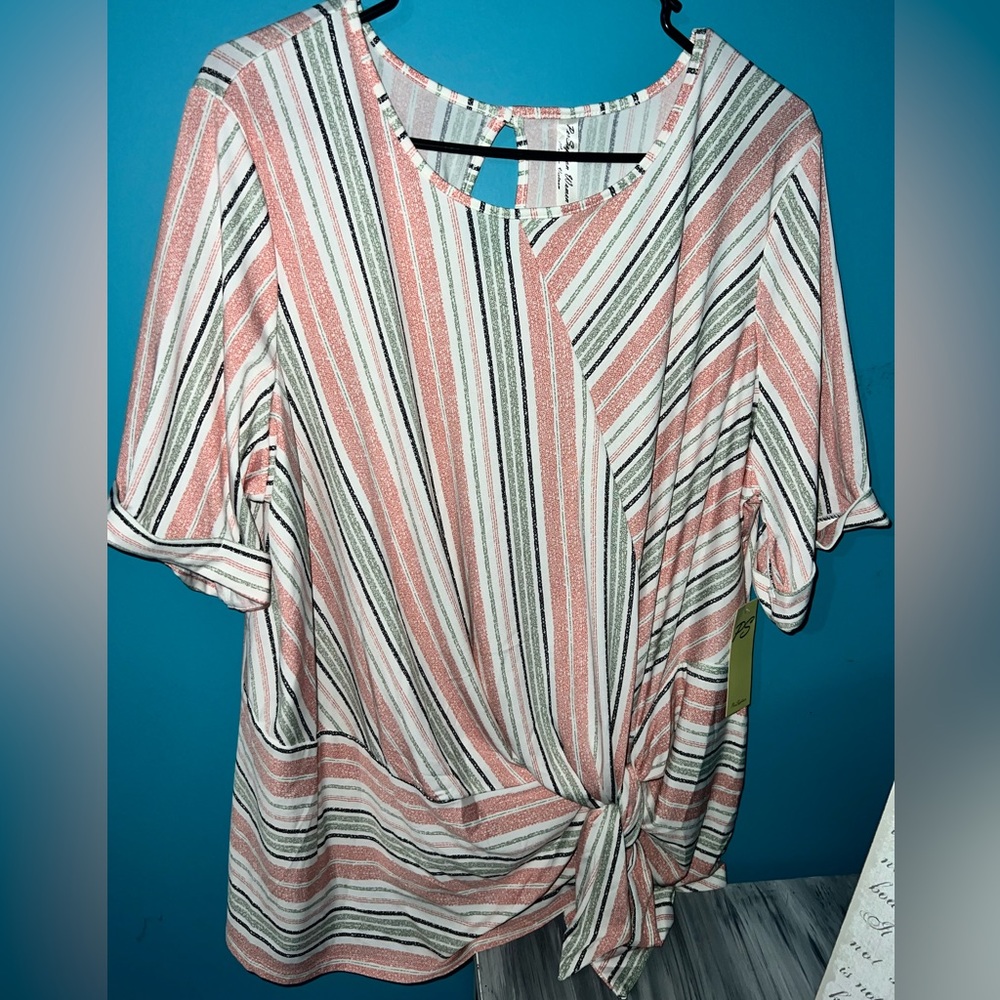 Women’s plus size Perseption brand blouse